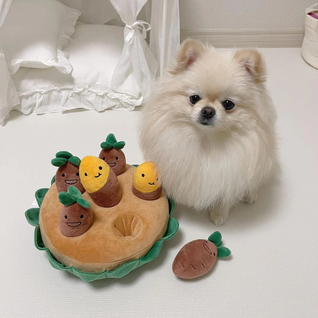 Sweet Potato Set Plush Toys with Sound